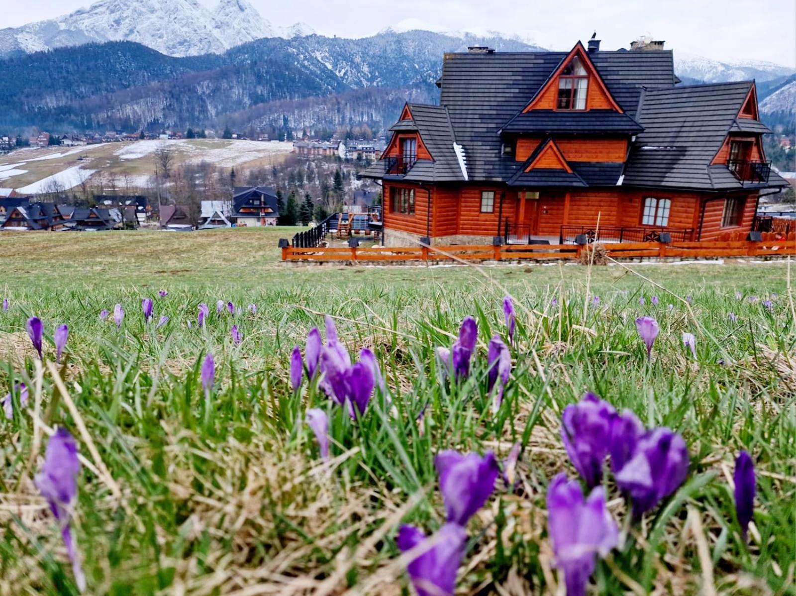Goralska Prowincja Apartment Koscielisko Bagian luar foto